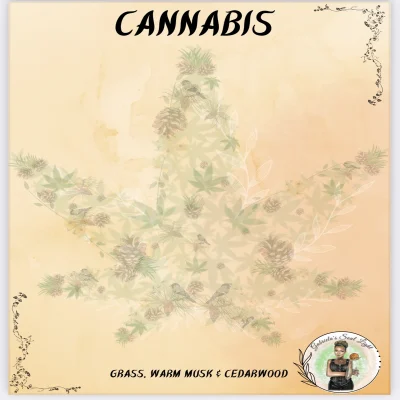 cannabis wax melt by Gabriela with hemp, patchouli and smoked woods – handmade soy wax